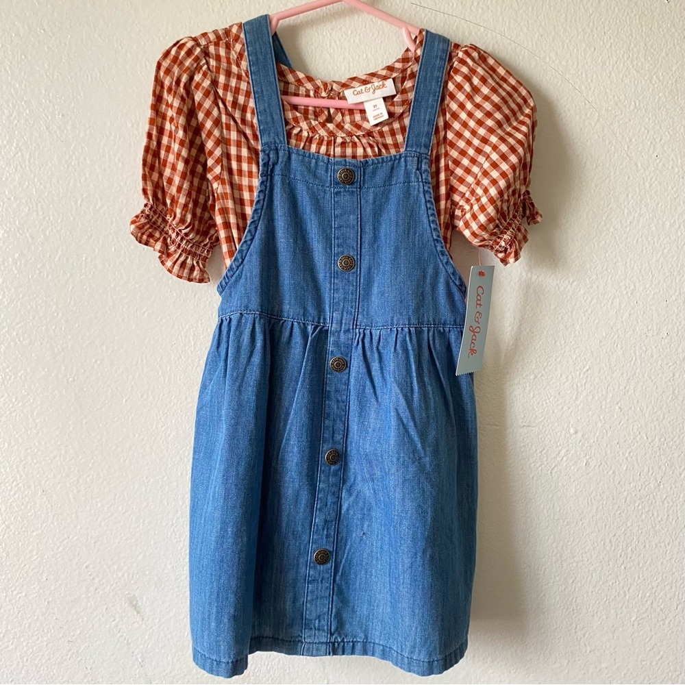 Cat and jack toddler dress
